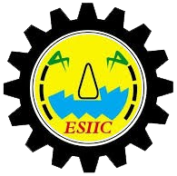 esiic-logo-removebg-preview (1)